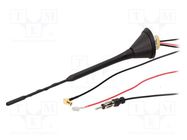 Antenna; 0.23m; AM,DAB,FM; with amplifier; 5m; 10dB; 12VDC 4CARMEDIA