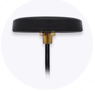 Teltonika 003R-00252 | LTE Antenna | mounted on roof, SMA, COMBO MIMO, TELTONIKA