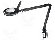 Desk magnifier; with backlight; 5dpt(x2.25); Ø127mm; Ø5"; 9W NEWBRAND