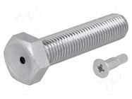 Pin; M10; steel; Plating: zinc; Thread len: 80mm; Spanner: 17mm FATH