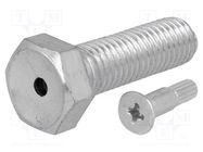 Pin; M12; steel; Plating: zinc; Thread len: 40mm; Spanner: 19mm FATH