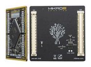 32-BIT ARM CORTEX-M4F MCU CARD