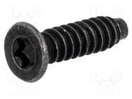 Screw; 3x12; Head: countersunk; Torx®; steel; black finish FISCHER ELEKTRONIK