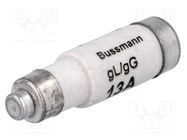 Fuse: fuse; 13A; 400VAC; 250VDC; ceramic,industrial; D01 BUSSMANN