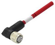 SENSOR CORD, 4P M12 RCPT-FREE END, 3.3'