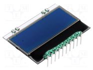 Display: LCD; alphanumeric; STN Negative; 10x4; blue; 36x25.4mm DISPLAY VISIONS