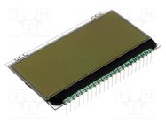 Display: LCD; alphanumeric; FSTN Positive; 20x4; white; 66x38.1mm DISPLAY VISIONS