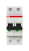 MCB, 2 POLE 16A TYPE C