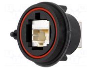 Coupler; socket; Buccaneer Ethernet; PIN: 8; Cat: 5e; shielded; 8p8c BULGIN