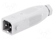 Connector: rectangular; ST; plug; male; PIN: 2; tinned; IP54; 16A HIRSCHMANN