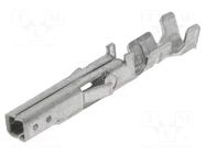 Contact; female; Mini-Fit Jr; tinned; 28AWG÷22AWG; bulk; crimped MOLEX