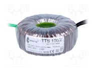 Transformer: toroidal; 100VA; 230VAC; 36V; 2.77A; Leads: cables BREVE TUFVASSONS