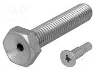 Pin; M10; Plunger mat: steel; Plating: zinc; Thread len: 50mm FATH