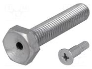 Pin; M10; steel; Plating: zinc; Thread len: 50mm; Spanner: 17mm FATH