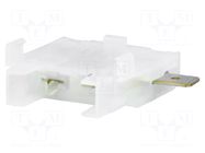 Fuse holder; transparent; automotive fuses MTA