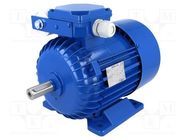 Motor: AC; 1-phase; 0.75kW; 230VAC; 1410rpm; 5.08Nm; IP54; 4.8A; arms 