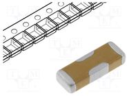 Filter: anti-interference; SMD; 1806; 300mA; 100VDC; -20÷50%; 1nF MURATA