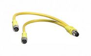 SENSOR CORD, 4P PLUG-2X RCPT, 0.3M