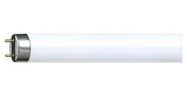 FLUORESCENT TUBE, 36W, T-8, 3350LM