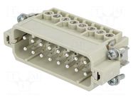 Connector: HDC; contact insert; male; 16A; 250V; Han® A; PIN: 16 HARTING