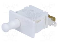 Switch: door; Pos: 2; SPDT; 10A/250VAC; white; on panel; 1.5kV C&K