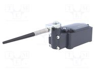 Limit switch; plunger on spring loaded element R 106mm; 10A PIZZATO ELETTRICA