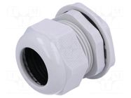 Cable gland; PG36; IP68; polyamide; grey; UL94V-2; 24.4mm KSS WIRING