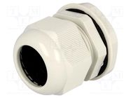 Cable gland; PG29; IP68; polyamide; grey; UL94V-2; 20.5mm KSS WIRING