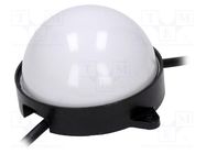 LED; RGB; 24V; IP68; 180°; No.of diodes: 12; 5050,PLCC6; Ø100mm; SMD 