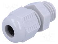 Cable gland; M12; 1.5; IP68; polyamide 6; light grey; HELUTOP® HT HELUKABEL