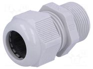 Cable gland; with long thread; M25; 1.5; IP68; polyamide; grey FIBOX