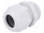 Cable gland; PG21; IP68; polyamide; grey FIBOX