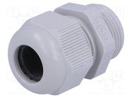 Cable gland; PG16; IP68; polyamide; grey FIBOX