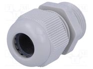 Cable gland; PG13,5; IP68; polyamide; grey FIBOX