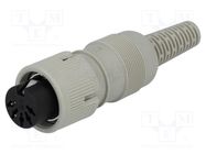 Connector: DIN; plug; female; PIN: 5; Layout: 180°; straight HIRSCHMANN