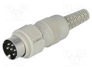 Connector: DIN; plug; male; PIN: 6; Layout: 240°; straight; for cable HIRSCHMANN