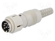 Connector: DIN; plug; male; PIN: 8; Layout: 262°; straight; for cable HIRSCHMANN