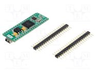 Dev.kit: ARM Texas; prototype board; Comp: LX4F230H5QR MIKROE