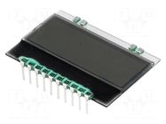 Display: LCD; alphanumeric; FSTN Positive; 10x4; white; 36x25.4mm DISPLAY VISIONS