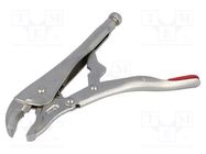 Pliers; Morse's,locking; 250mm PROLINE