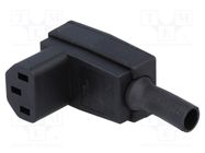 Connector: AC supply; plug; female; 10A; 250VAC; IEC 60320; C13 (F) BULGIN