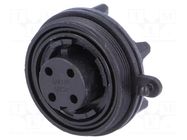 Connector: circular; socket; female; PIN: 4; 10A; 250V; IP68; UL94V-0 BULGIN