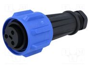 Connector: circular; plug; female; PIN: 3; Buccaneer 900; for cable BULGIN