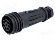 Connector: circular; plug; female; PIN: 7; Buccaneer 900; for cable BULGIN