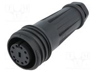 Connector: circular; plug; female; PIN: 10; Buccaneer 900; IP68 BULGIN