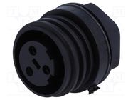 Connector: circular; socket; female; PIN: 3; Buccaneer 900; IP68 BULGIN