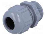 Cable gland; PG13,5; IP68; polyamide; grey; UL94V-2; SKINTOP® LAPP