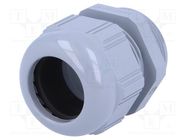 Cable gland; PG29; IP68; polyamide; grey; UL94V-2; SKINTOP® LAPP