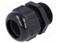 Cable gland; NPT1"; IP68; polyamide; black; Resistance to: UV rays LAPP