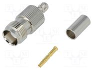 Connector: TNC; plug; female; straight; 50Ω; crimped; for cable; POM AMPHENOL RF